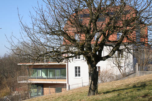 Bild wohnhaus mühlehalden dietikon